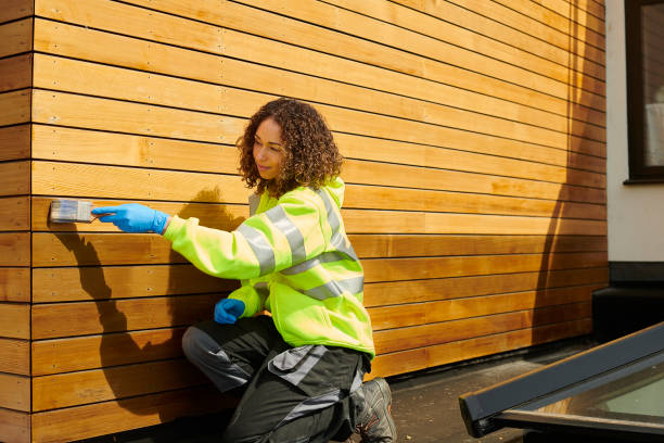 Best Custom Siding Design  in Scottsville, KY